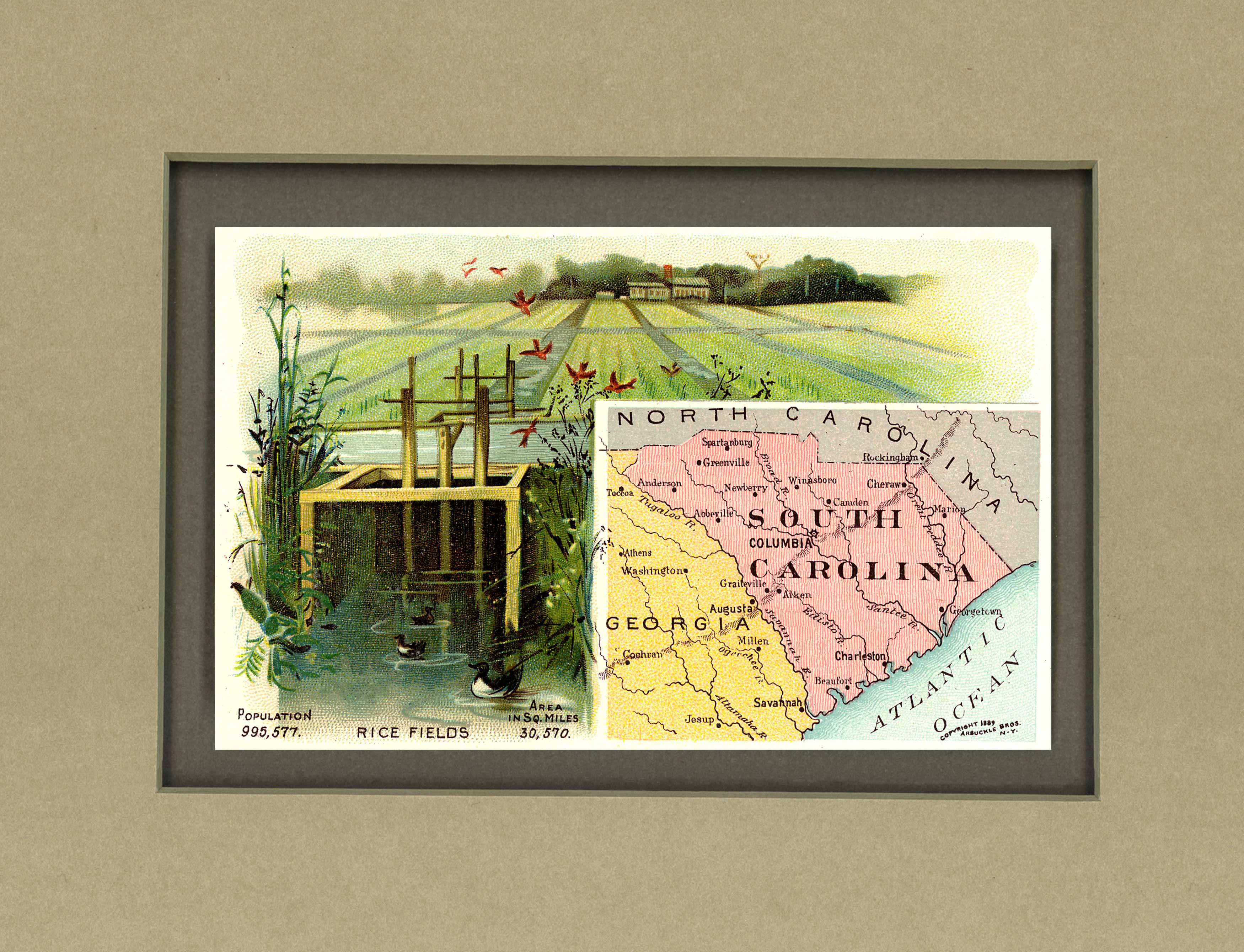 ARB-1889-SOUTHCAROLINA