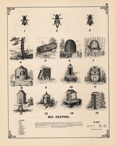 Bee Keeping