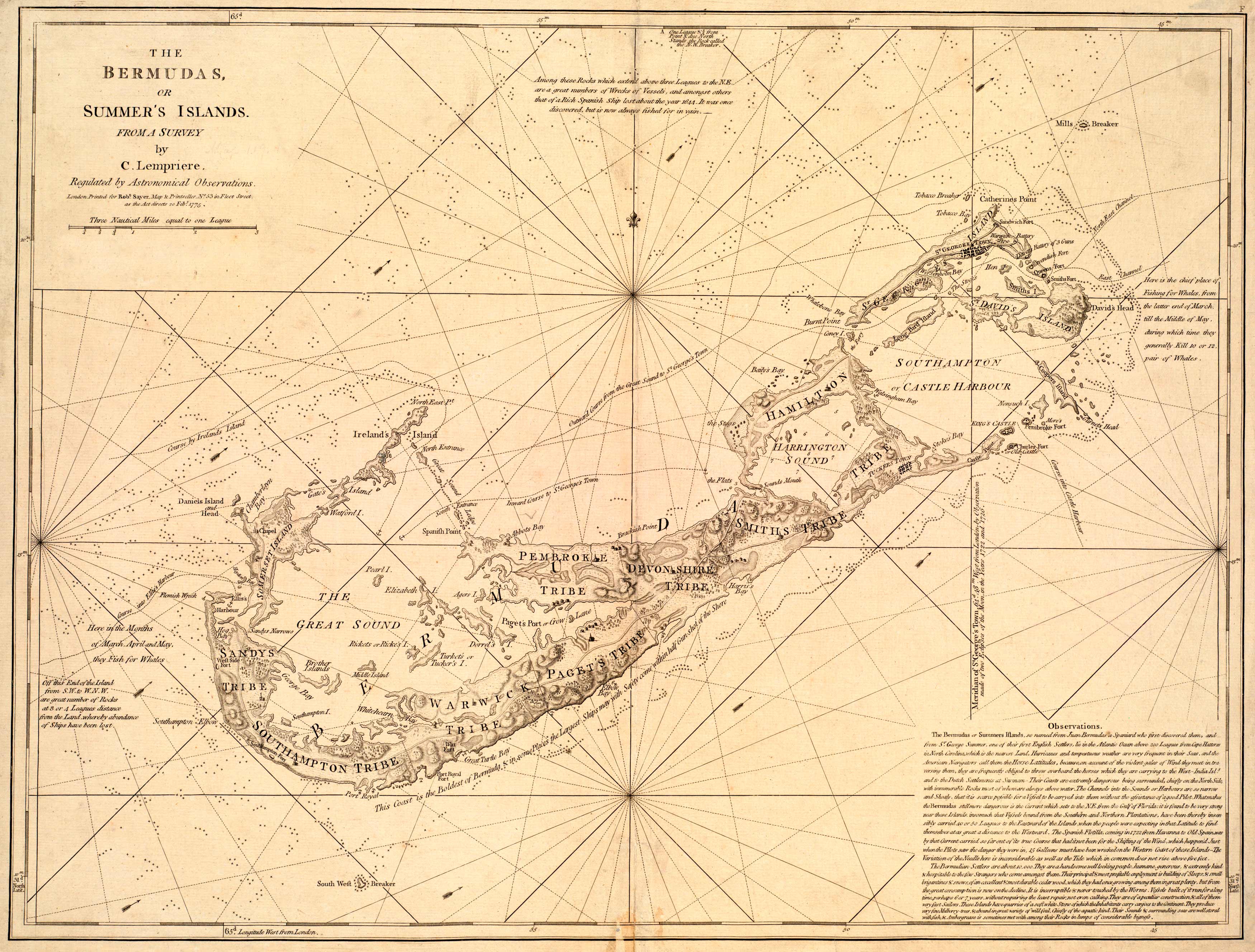 The Bermudas The Bermudas