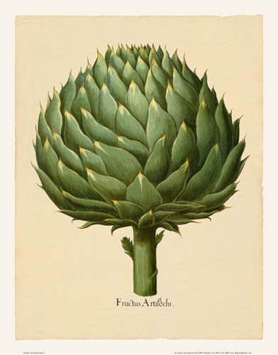 Besler - Artichoke Italian