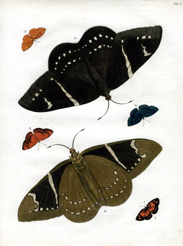 Cramer Plate #1 Cramer Plate #1