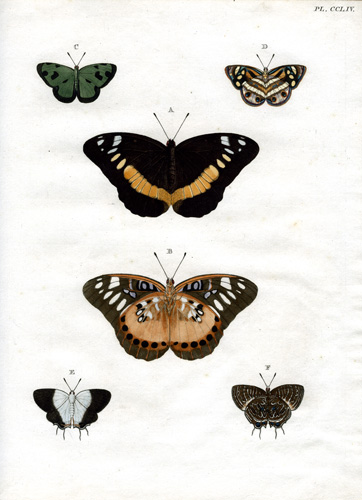 Cramer Plate #254 Cramer Plate #254