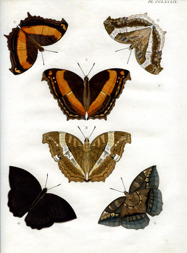 Cramer Plate #289 Cramer Plate #289