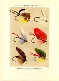 Bass Flies