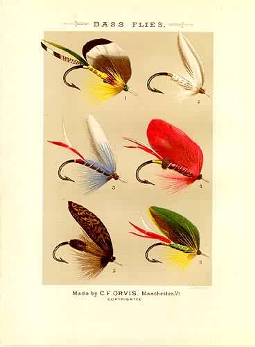 Bass Flies