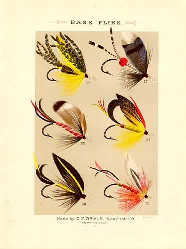 Bass Flies