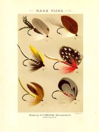 Bass Flies