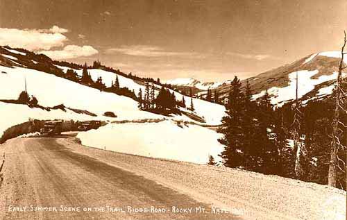 Early Summer Scene on the Trail Ridge Road