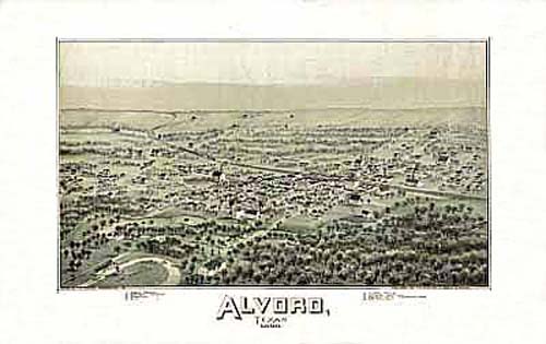 Bird's-eye View of Alvord