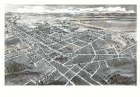 Bird's-eye View of Hickory