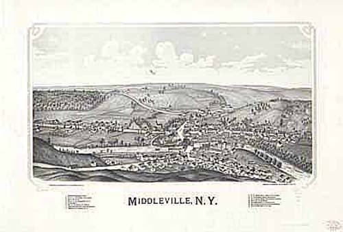 Bird's-eye View of Middleville