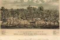 Bird's-eye View of Sacramento