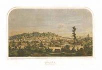 Bird's-eye View of Shasta