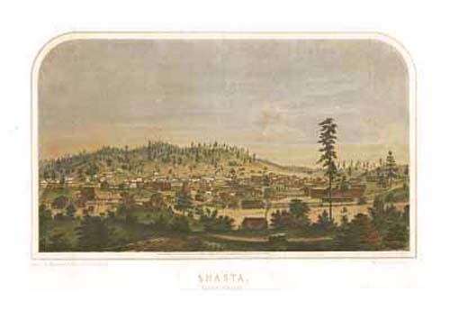 Bird's-eye View of Shasta