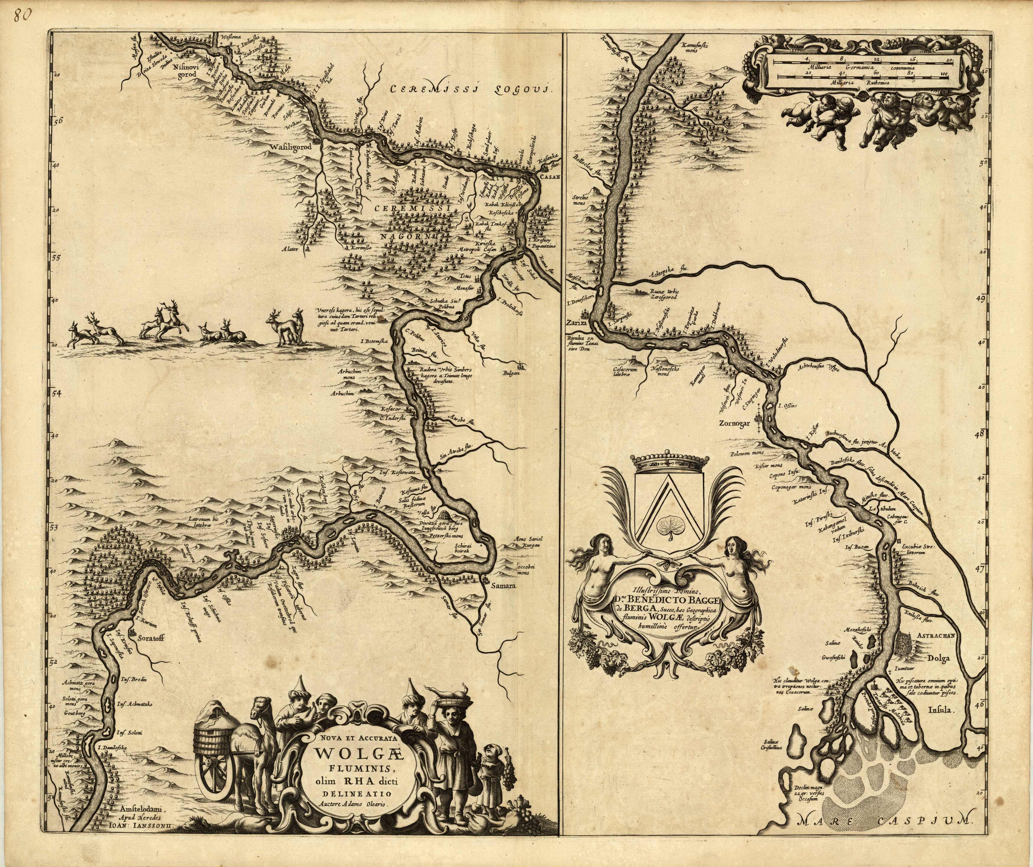 Nova et Accurata Wolgae Fluminis Nova et Accurata Wolgae Fluminis
