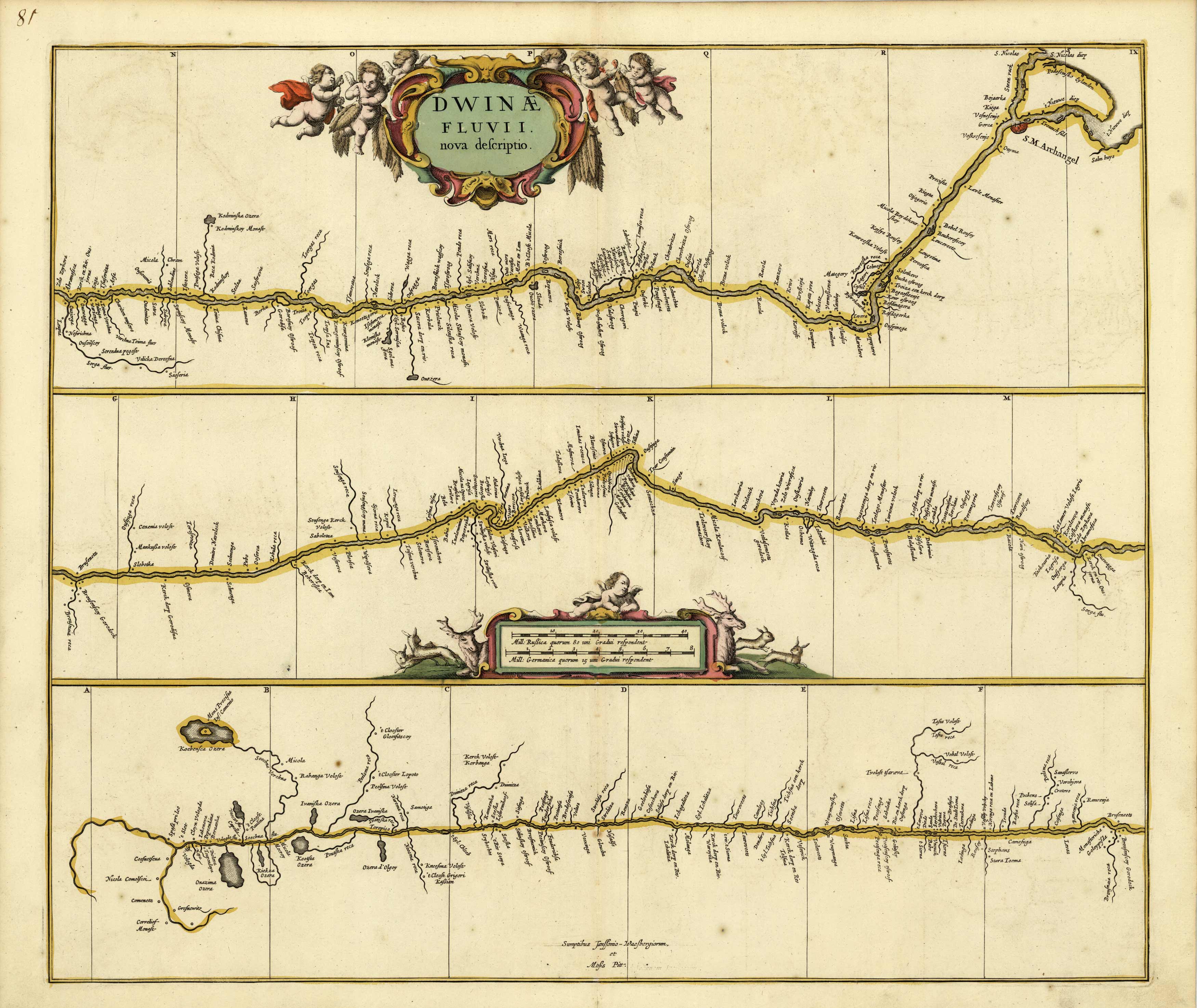Dwinae Fluvii nova descriptio [Dvina River]