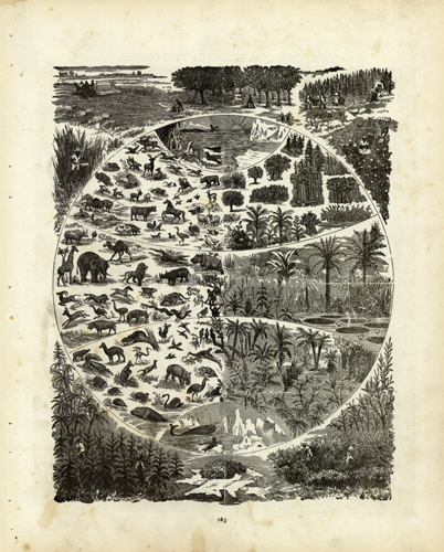 (Plants and Animals of the World)