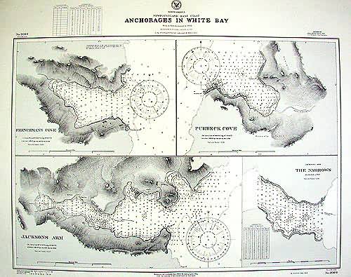 New Foundland - Anchorages in White Bay