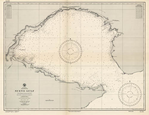 Argentina - Nuevo Gulf