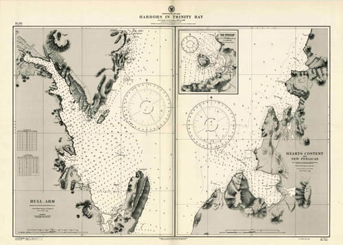 Newfoundland - East Coast