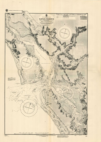 New Zealand - Kaipara Harbour (North Island)