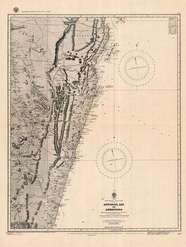 Madagascar - Antongil Bay to Ambatozoa