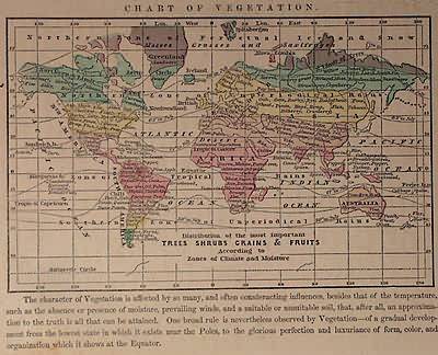 Chart of Vegetation Chart of Vegetation