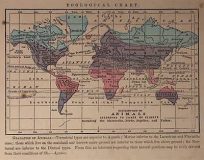 Distribution of Animals According to Zones of Climate