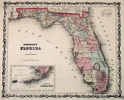 Johnsons Florida' Johnsons Florida'