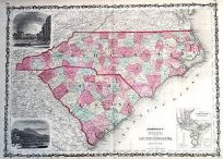 Johnsons North and South Carolina'
