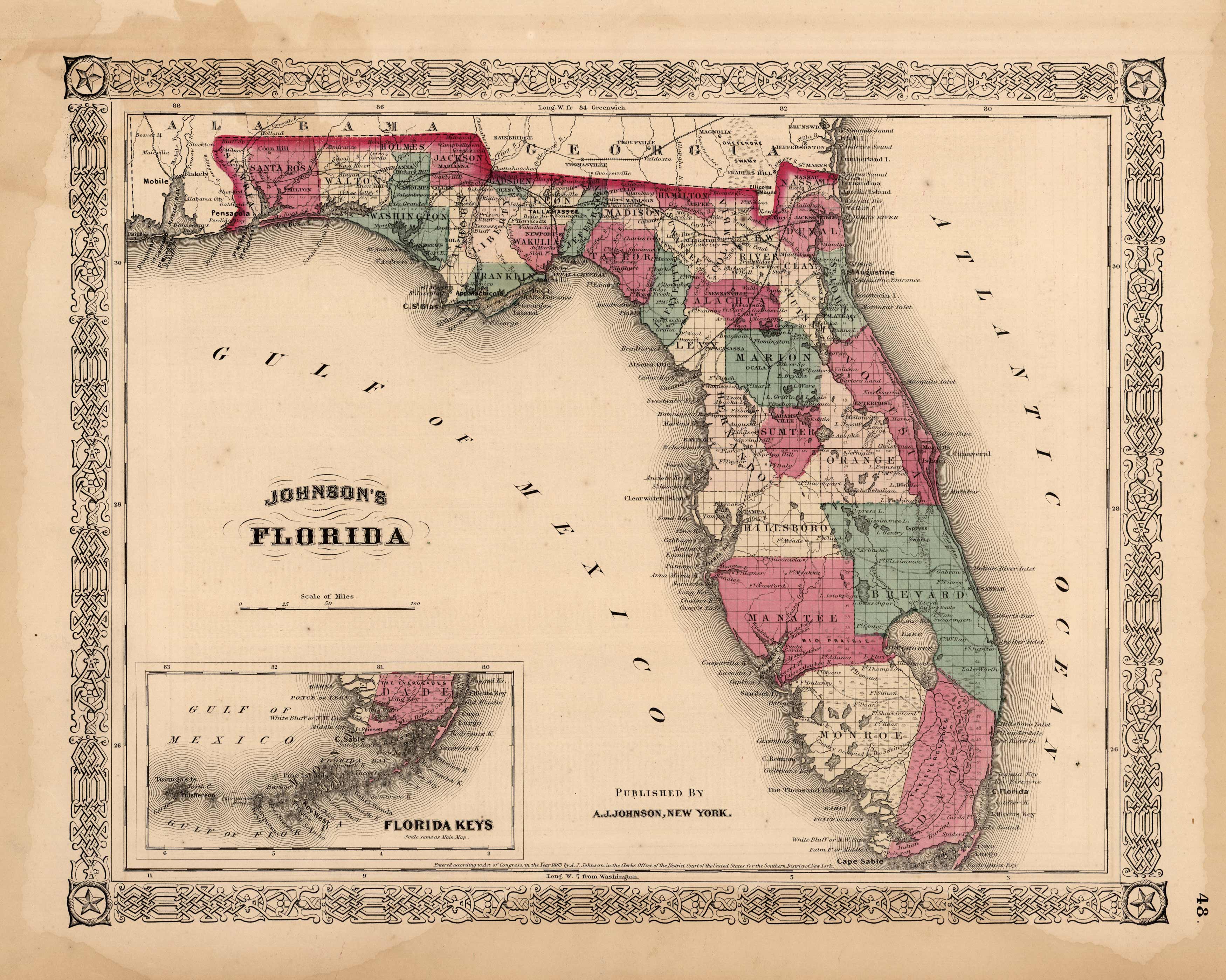 Johnsons Florida' Johnsons Florida'