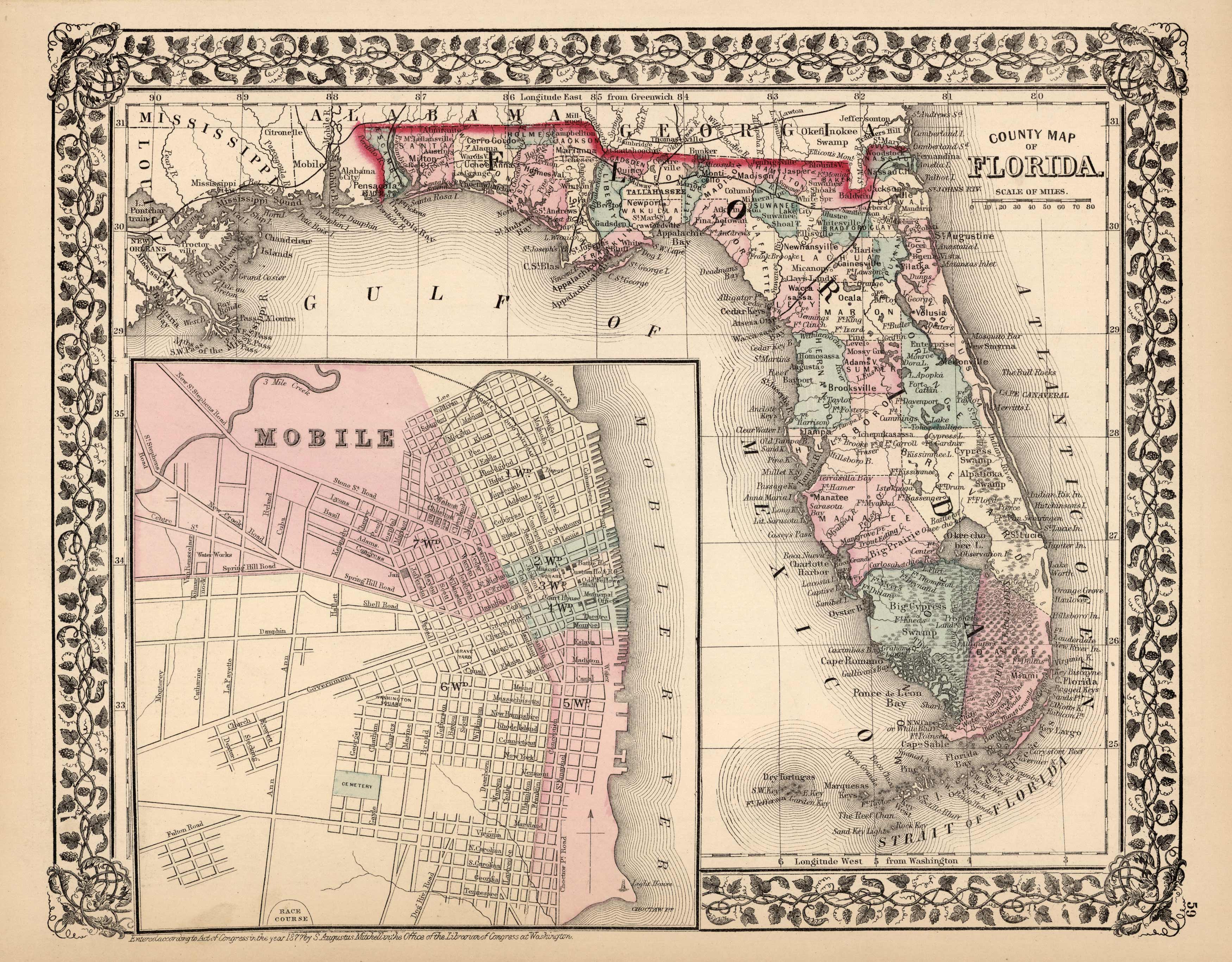County Map of Florida