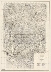 Boise National Forest