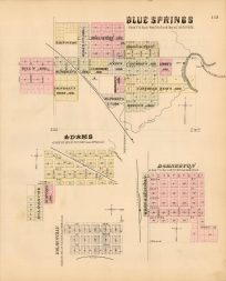 Blue Springs