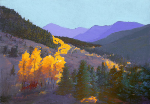 Aspen Grove Aspen Grove