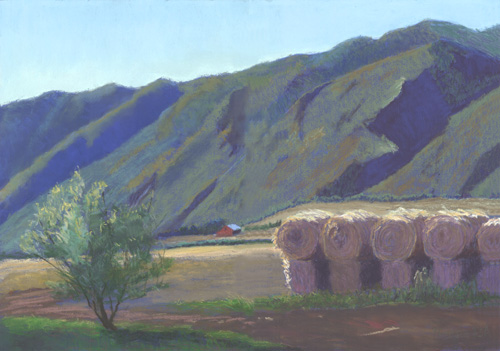 Farm Near Carbondale