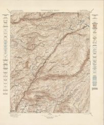 Big Trees Quadrangle