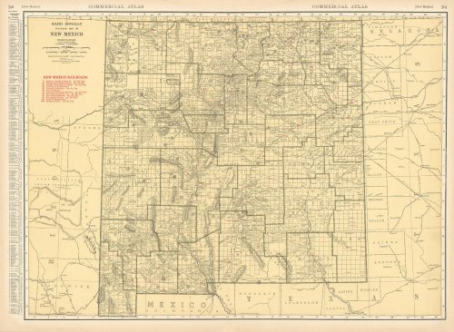 Vintage Antique New Mexico