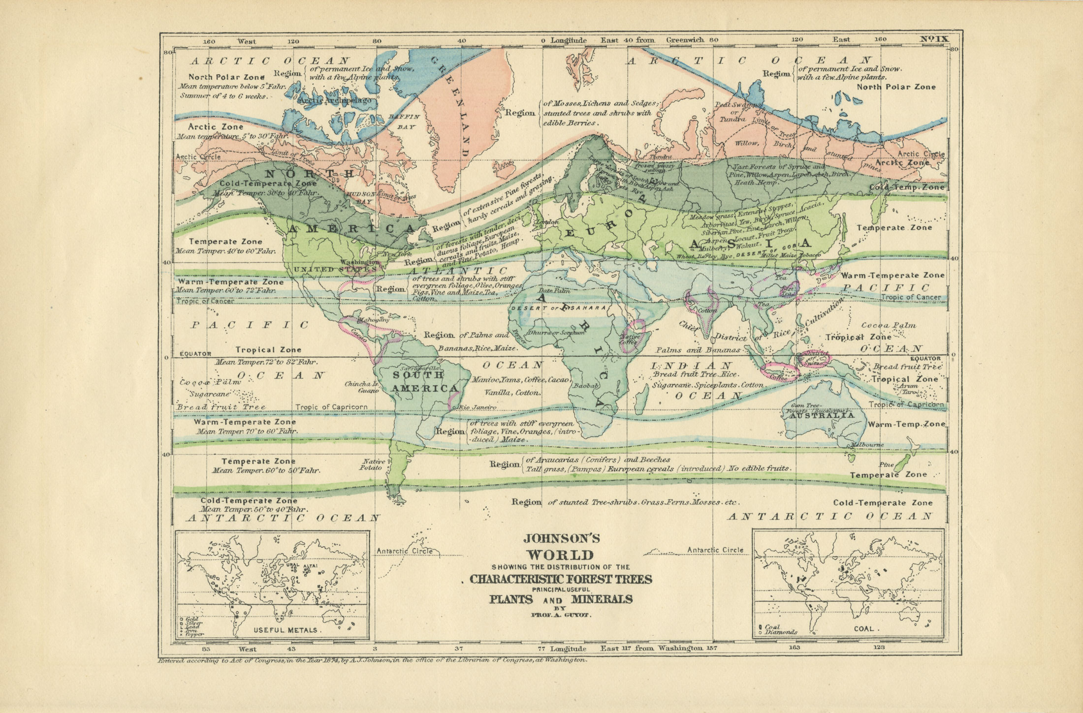JOC-1896-WORLD-FOREST-WEB